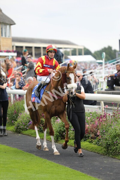 yr23072022r2-3 - Race 2 2.40pm Sky Bet Dash