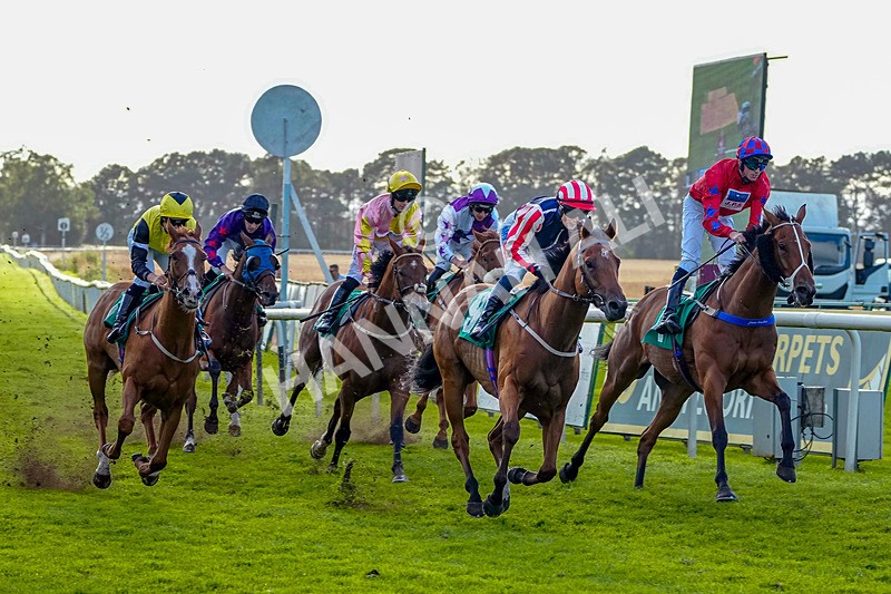 050926-Race 8-Nyman-4 - Race 8 5.35pm Thirsk Racecourse Ideal Conference & Events Venue Handicap (Div II)