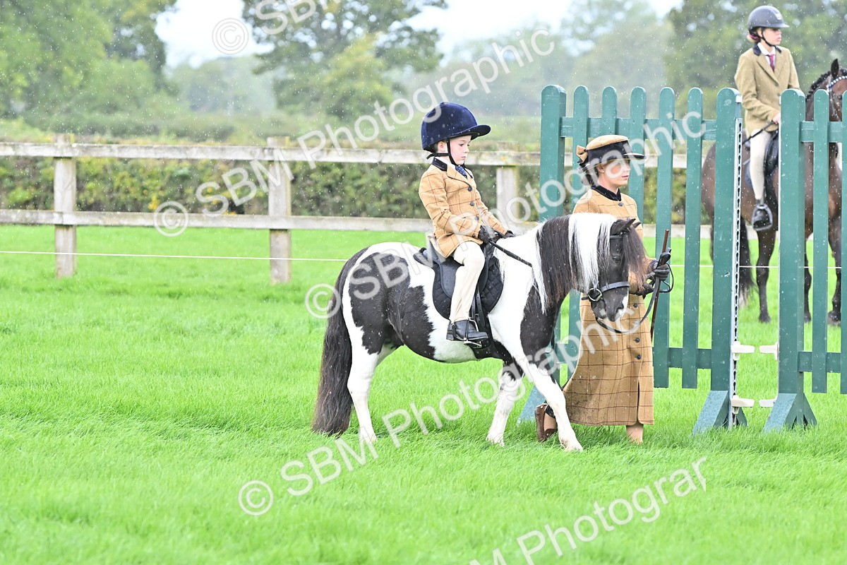 SBM_40110 - S20 - Lead Rein Mountain & Moorland Pony