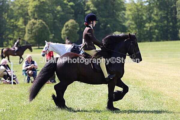 IMG_4390 - Working Hunter