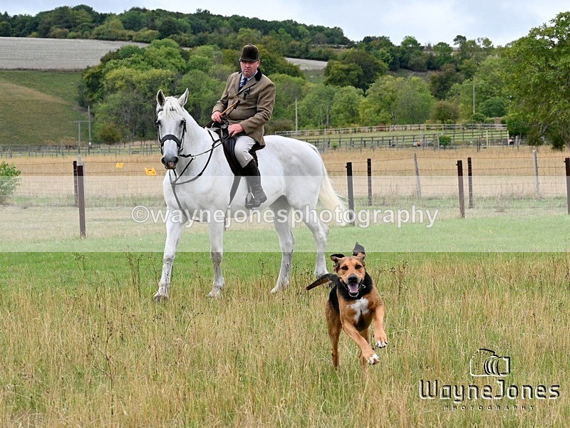 WJ7_0606 - Berks & Bucks Hound Exercise Blewbury 13-09-26