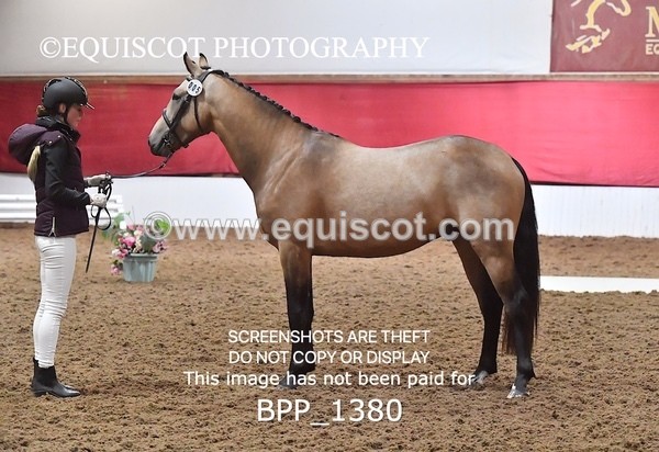 BPP_1380 - MORNING 9AM - 12PM