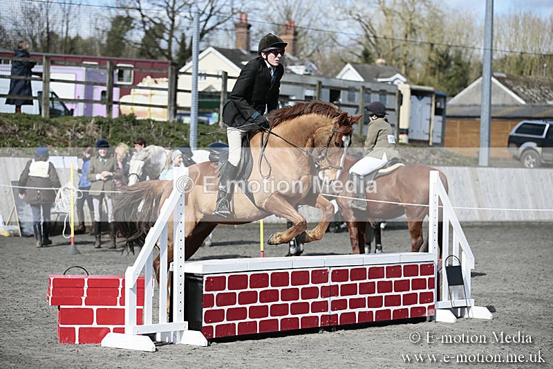 BVRC SJ 170319 239 - Bourne Valley Riding Club Showjumping 17/03/19