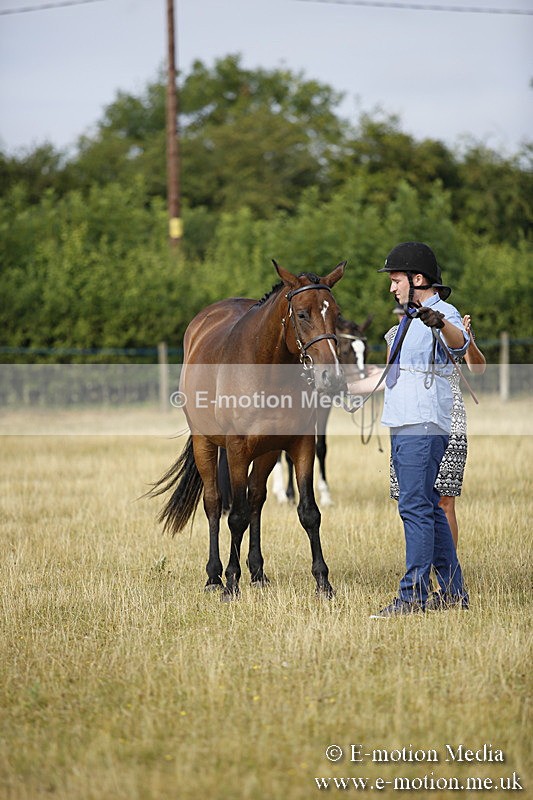 _C7A9133 - BVRC Sow 2018 Ring 2