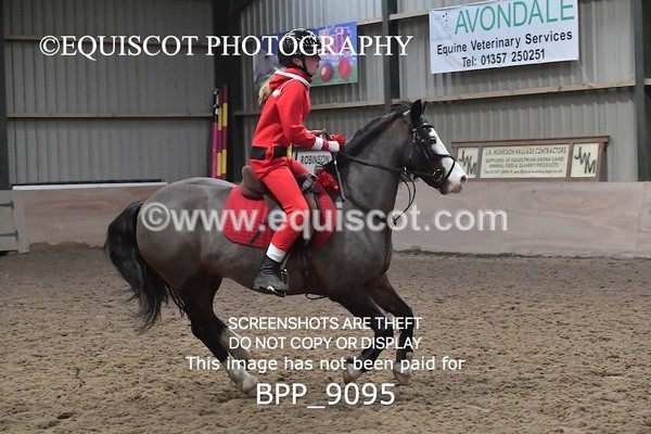 BPP_9095 - CLASS 3 50CM-70CM Pairs Show Jumping