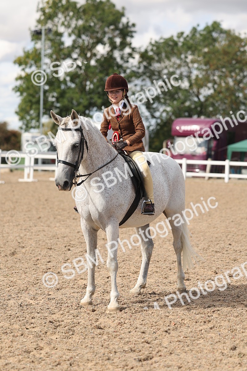 SBM_13201 - Class 306 - Ridden Foreign Breds - Part Bred