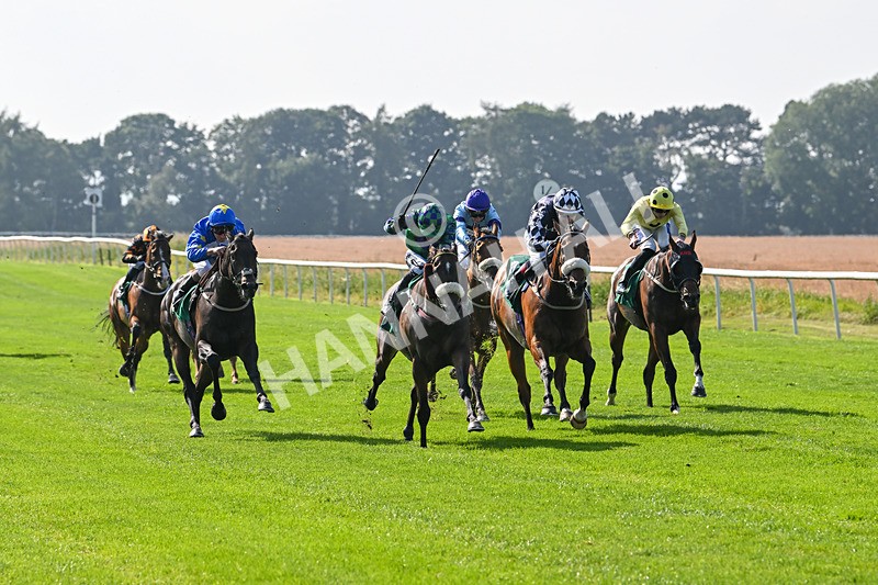 300824-Race 4-Tinto-5960 - Race 4