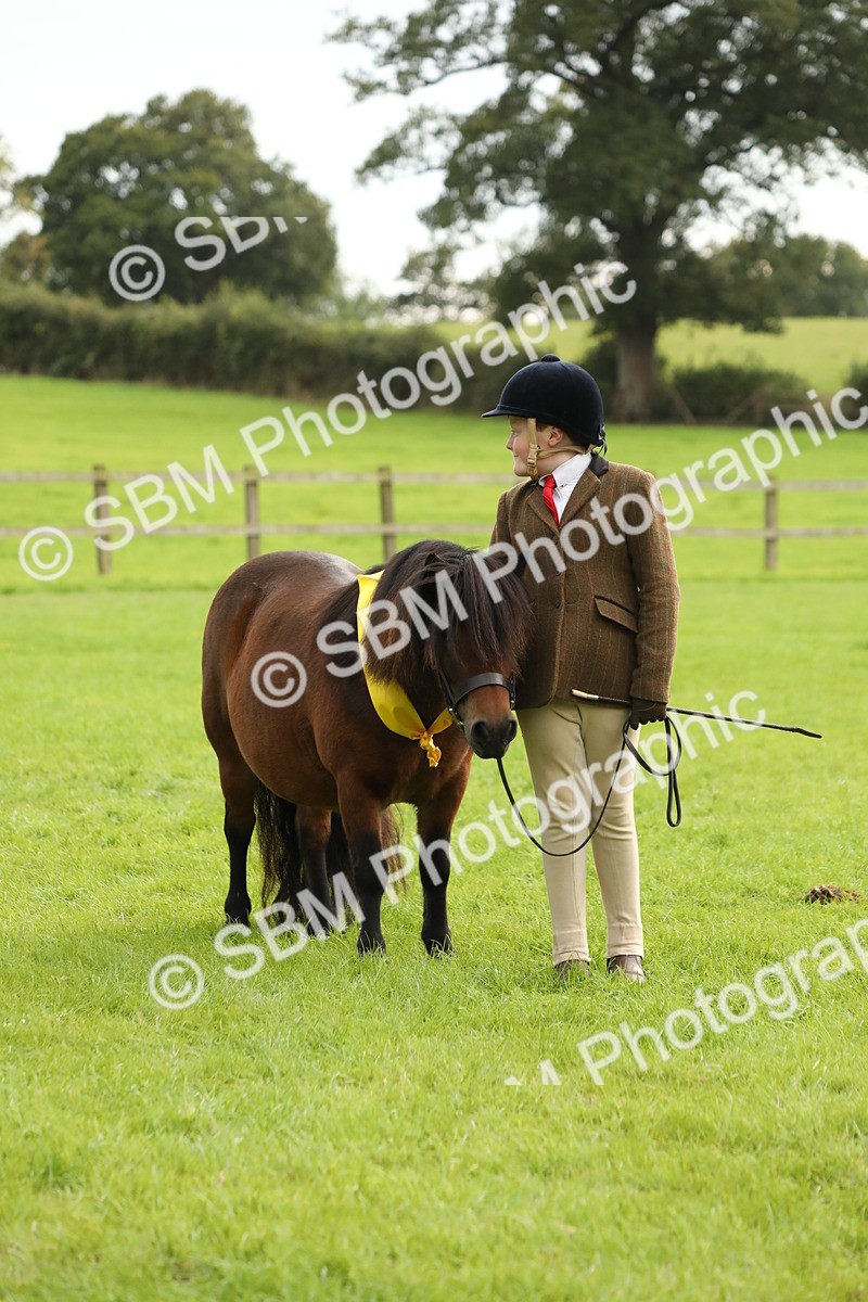 SBM_75371 - Equitation Supreme Championship
