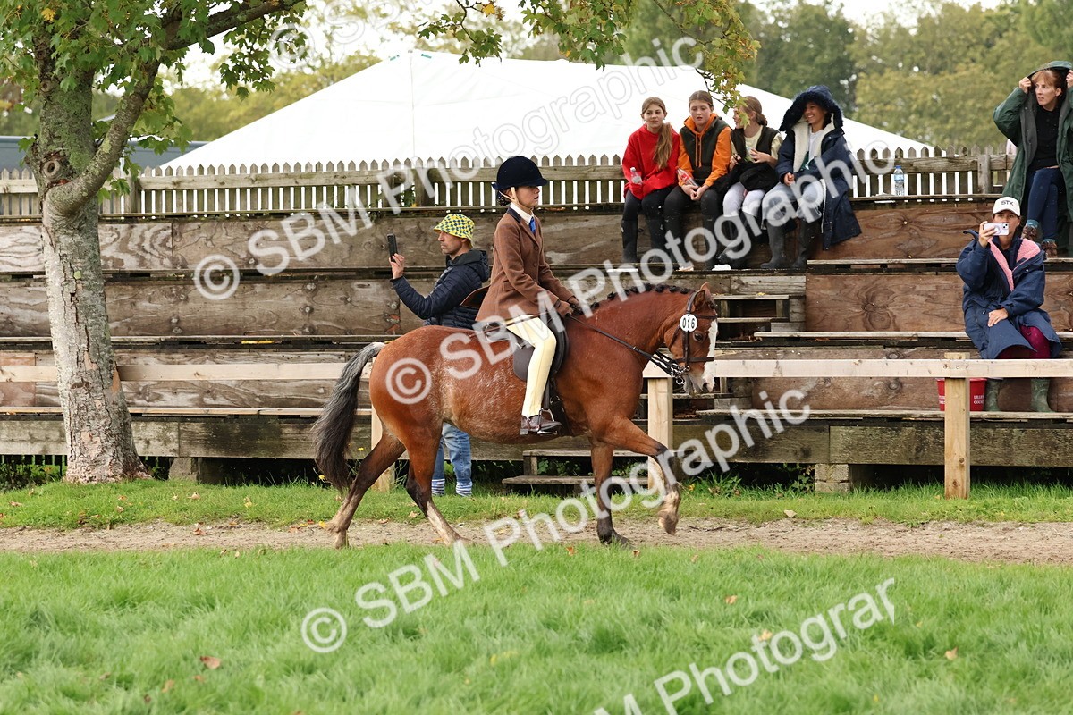SBM_45007 - S27 - Young Veteran Ridden