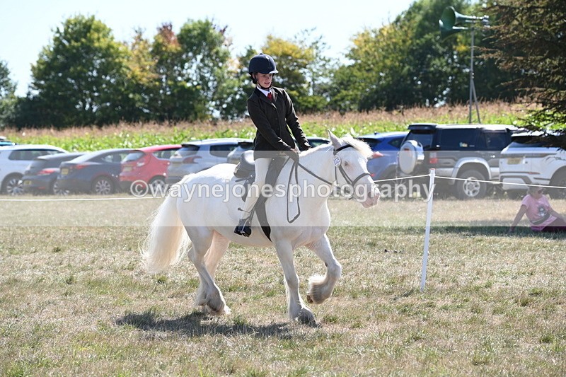 WJ6_8970 - Class 38 Ridden Riding Horse/Pony
