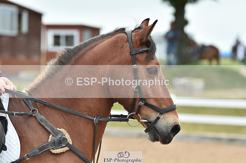 230611A-094348-04598 - Cls 31 British Novice & Open