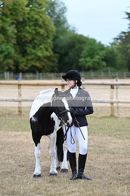 WJ7_8195 - Class 4 Prettiest Mare up to 14.2hh