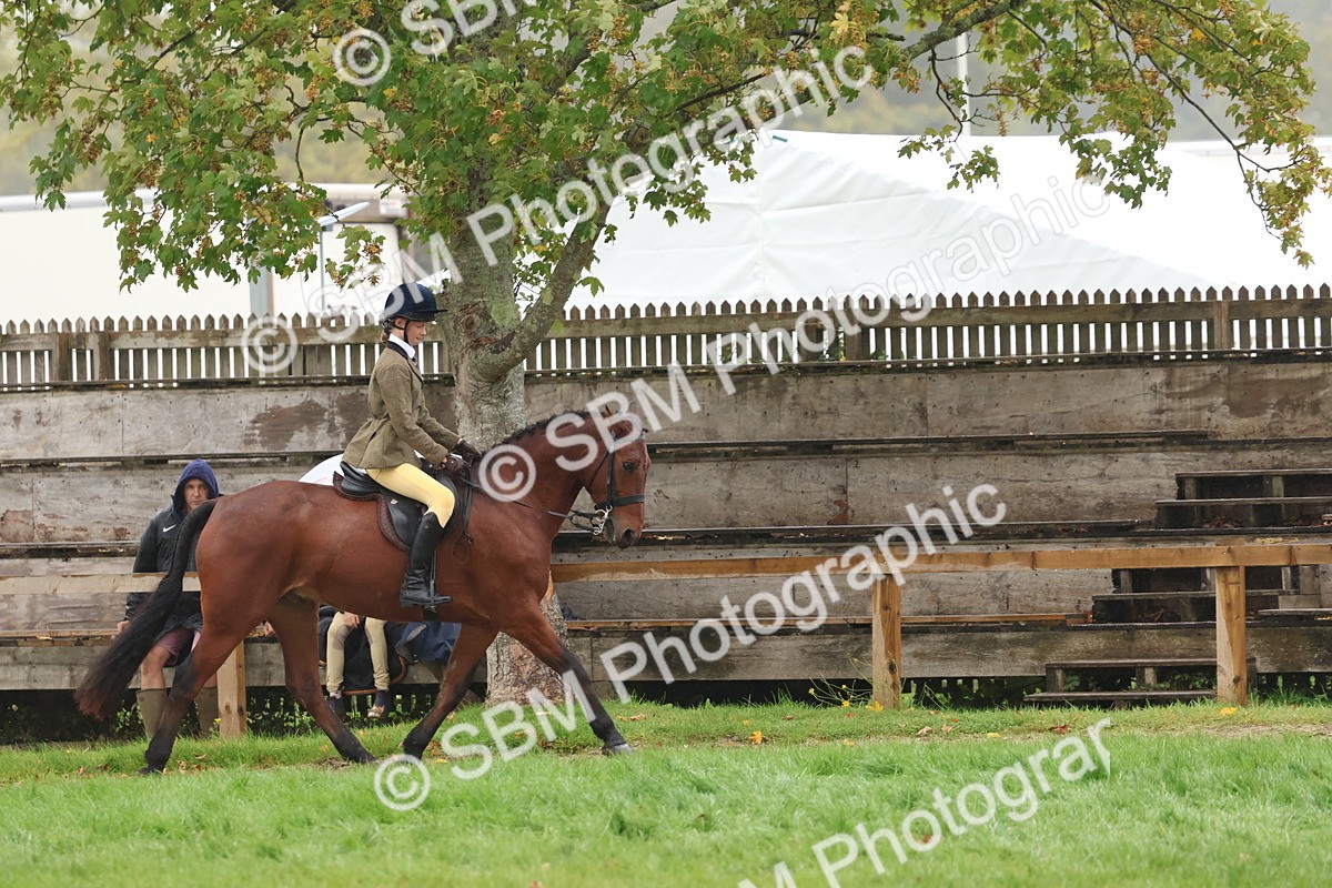 SBM_73012 - S63 Show Pony & Show Hunter Pony Ridden