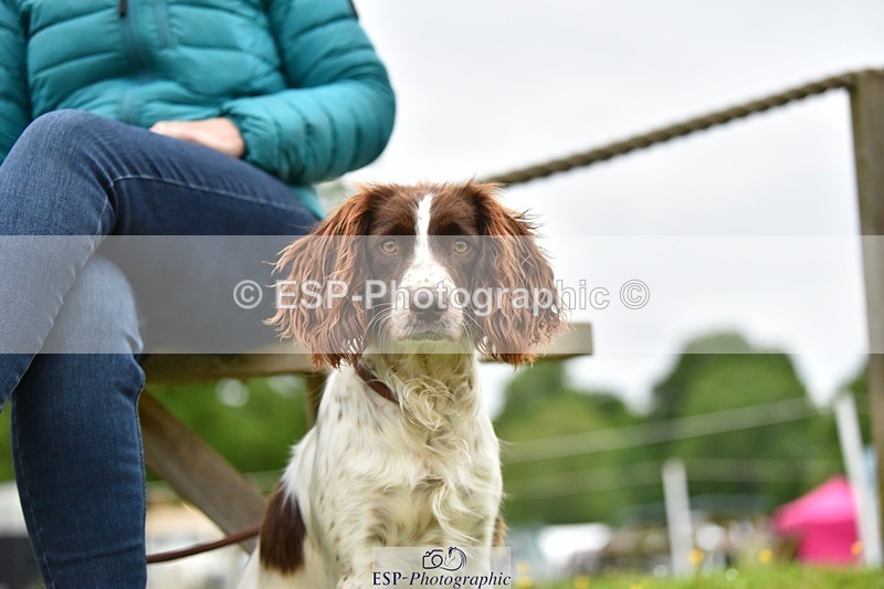 240523-193452-06592 - Candid and Saturday Hobby Horse