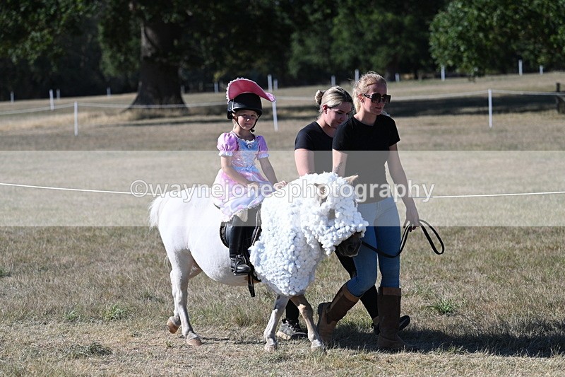 WJ7_2507 - Class 45 Fancy Dress (My Fav)