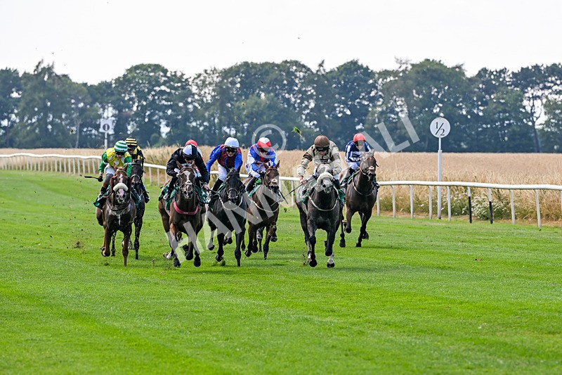 160726-Race 3-Angel Numbers-4424 - Race 3 15.03pm Sell Your Business With Anderson Barrowcliff Handicap