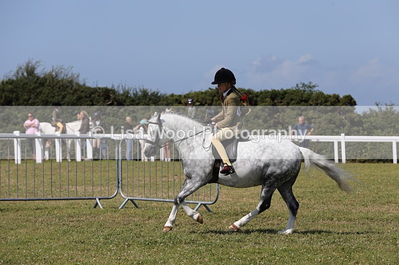 1X9A5373 - Class 37: NPS M&M First Ridden