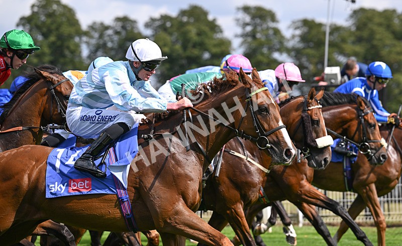 220826-037 Steel Raven - Race 2 14.25pm Sky Bet Melrose Handicap