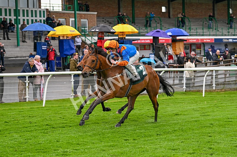 230524-Race 7-Homer Stokes-2060 - Race 7