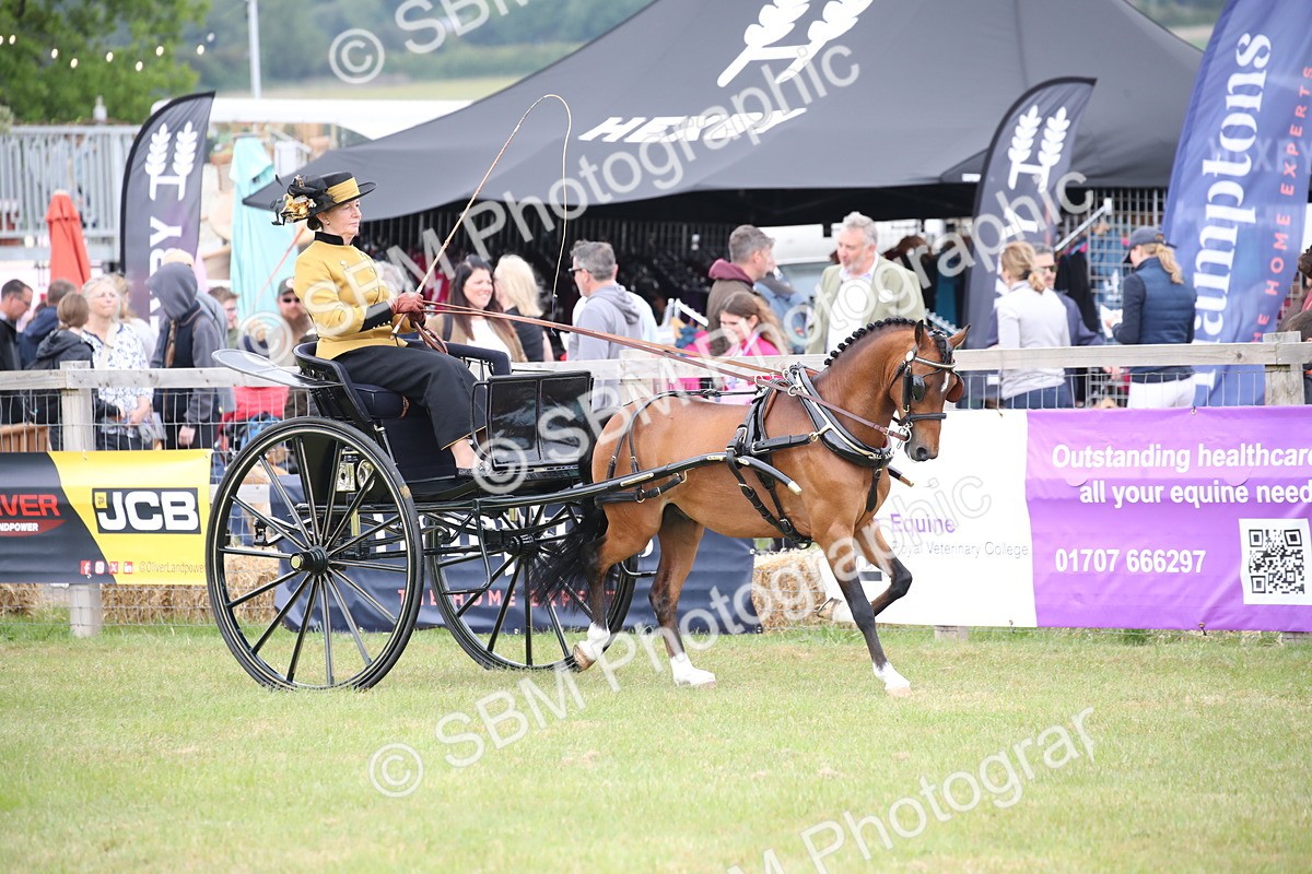 SBM_05823 - Class 12-15 - HOYS Private Driving