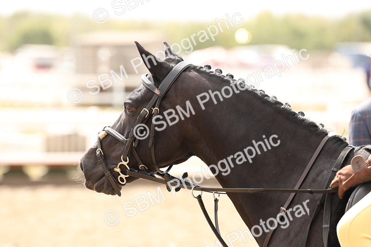 SBM_06149 - Class 57a -  Style & Performance - 60cm (15-19)