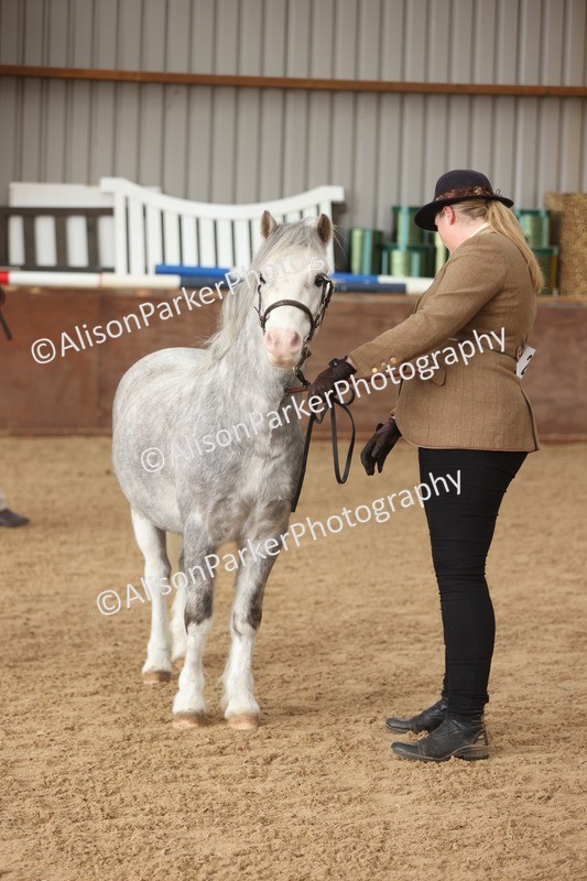 20251109-0615 - Class 22 - Geldings 4 Years and over