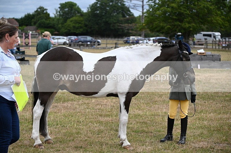 WJ6_4320 - Class 10 Coloured In-hand