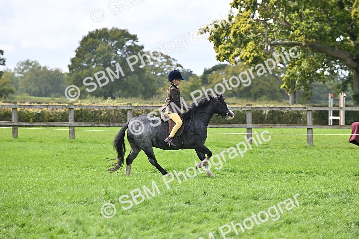 SBM_44513 - S13 - Pony Club Pony