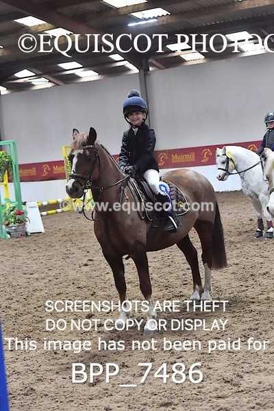 BPP_7486 - 40CM WORKING HUNTER