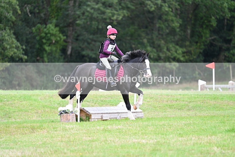 WJ7_7327 - 40cm Time 10:06 to 10:24