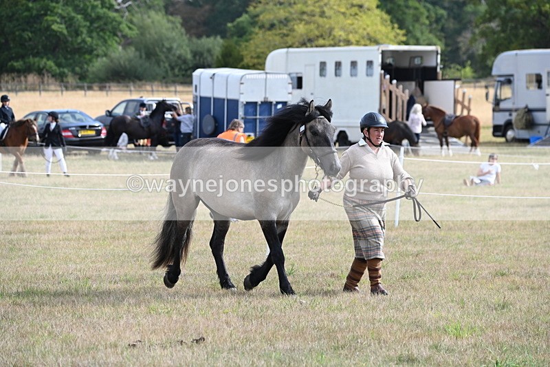 WJ6_4127 - Class 15 Youngstock