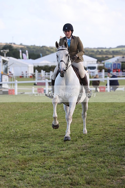 JPP_3546 - Class 22: Working Hunter 90cm