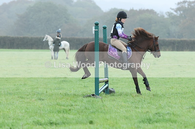 JPP_4951 - Class 1: 65cm : Showjumping