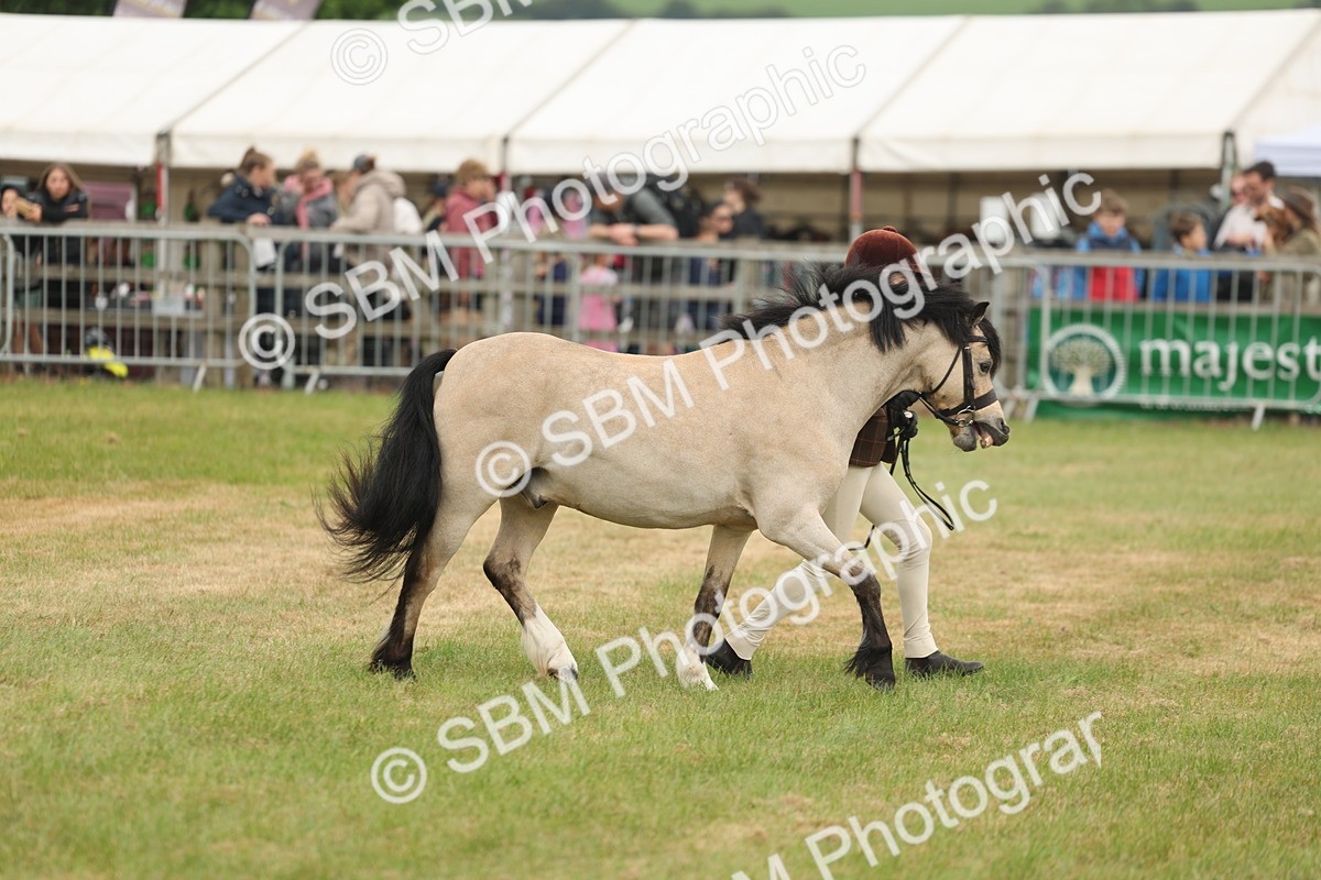 SBM_07124 - Class 76-77 - Ridden M&M Welsh Ponies
