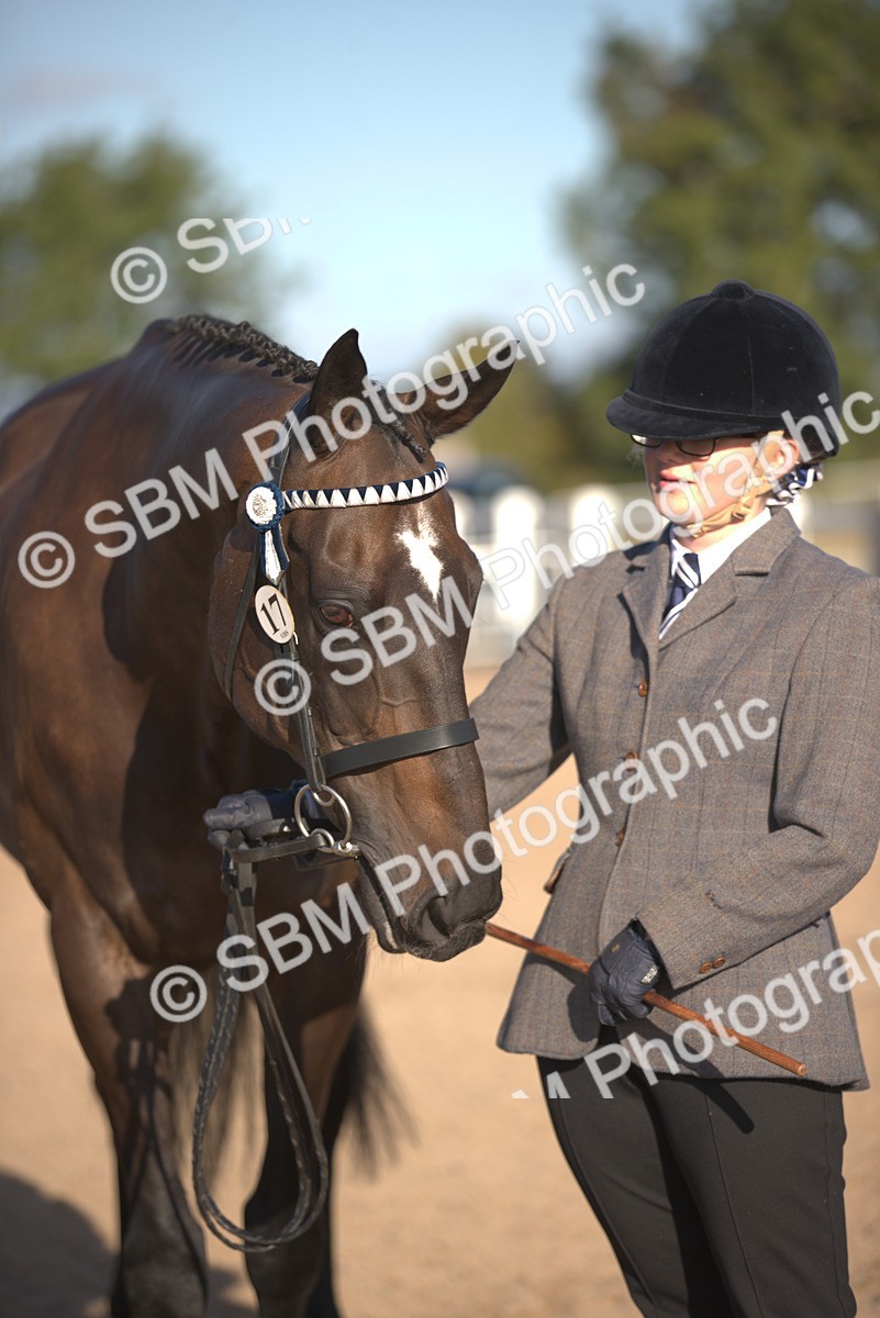 SBM_08391 - Class 401 - IH Veteran Horse