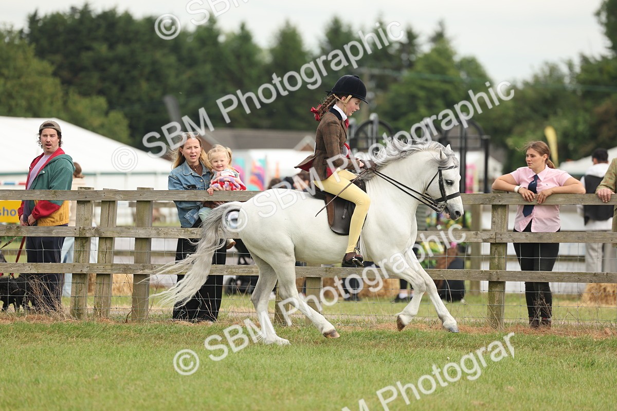 SBM_09129 - Class 78-80 - Ridden M&M Non Welsh Ponies