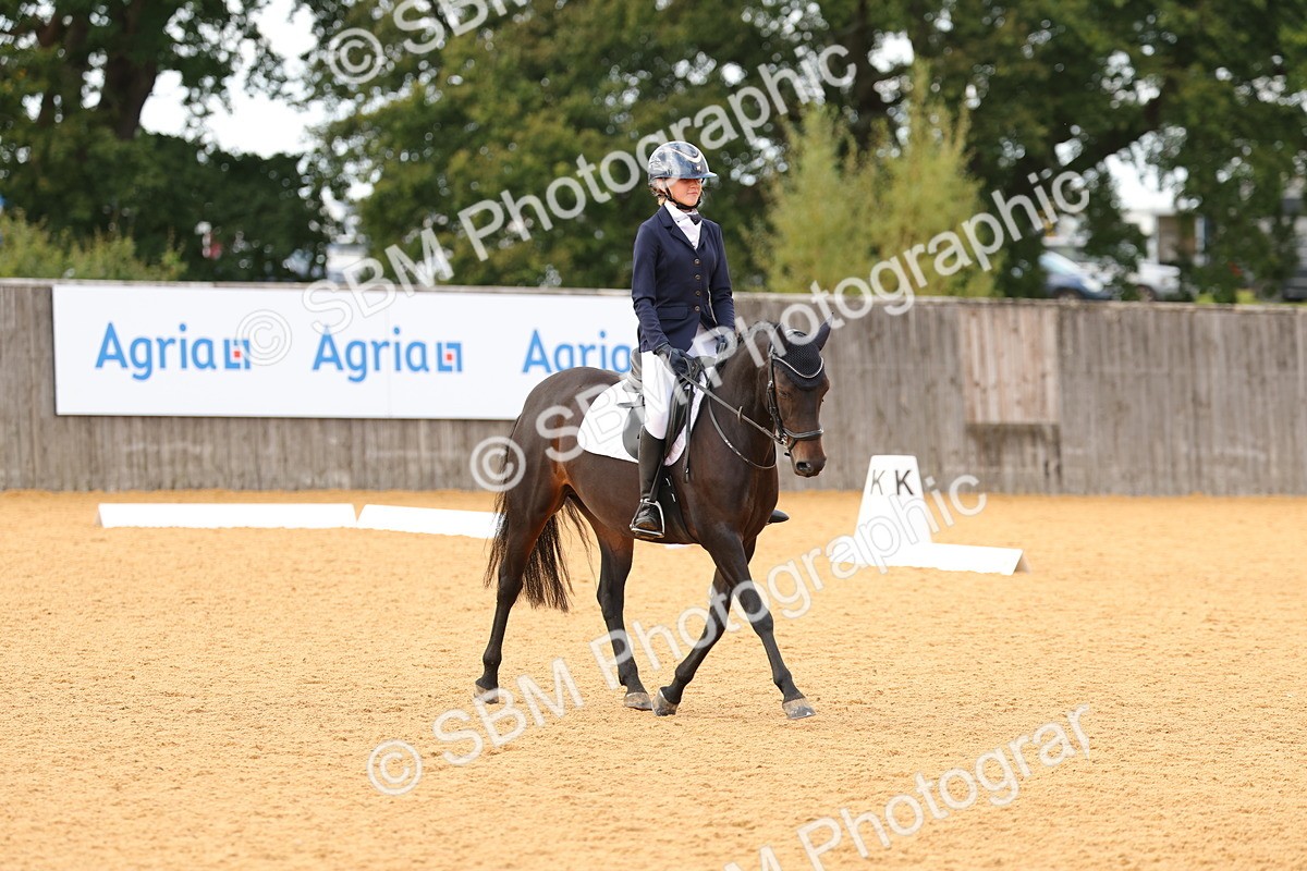 SBM_48330 - D22 - Junior Championship - Intro B