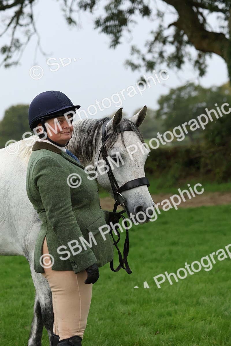 SBM_35301 - S10 - Best In Hand Horse & Pony