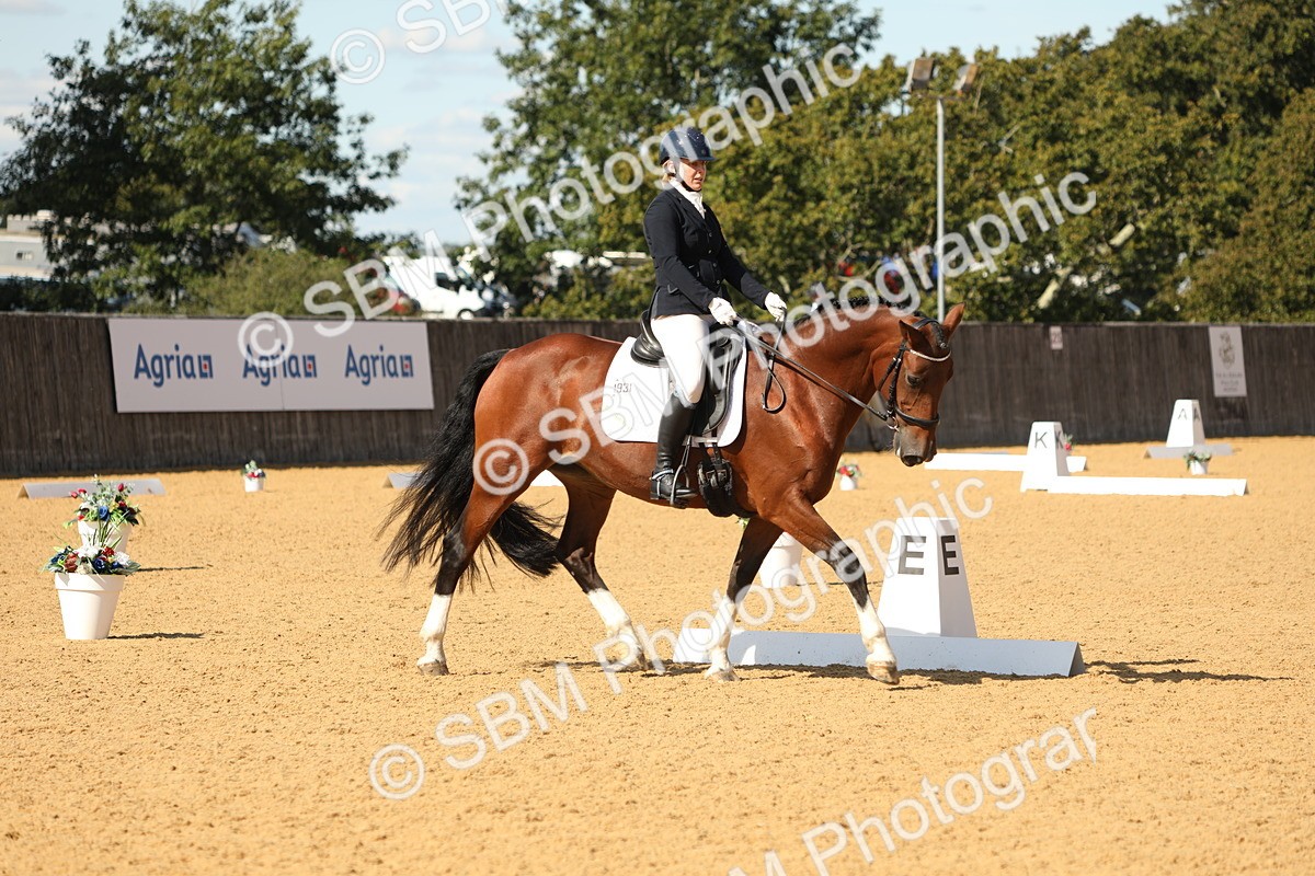 SBM_24536 - D17 - Grand Tour Championship - Novice 27