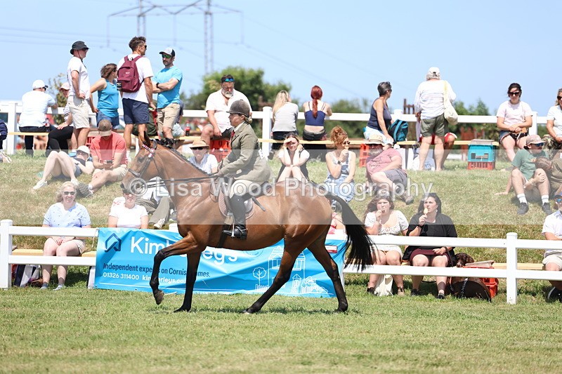 3E7A9341 - Class 12: Open Racehorse to Show Horse
