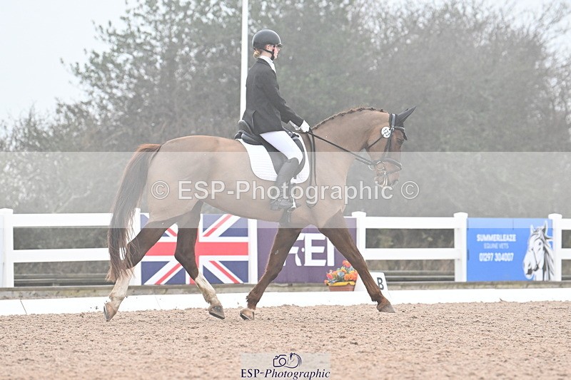 240217A-095133-00460 - 123-Daisy.Hedges-Felicia.v