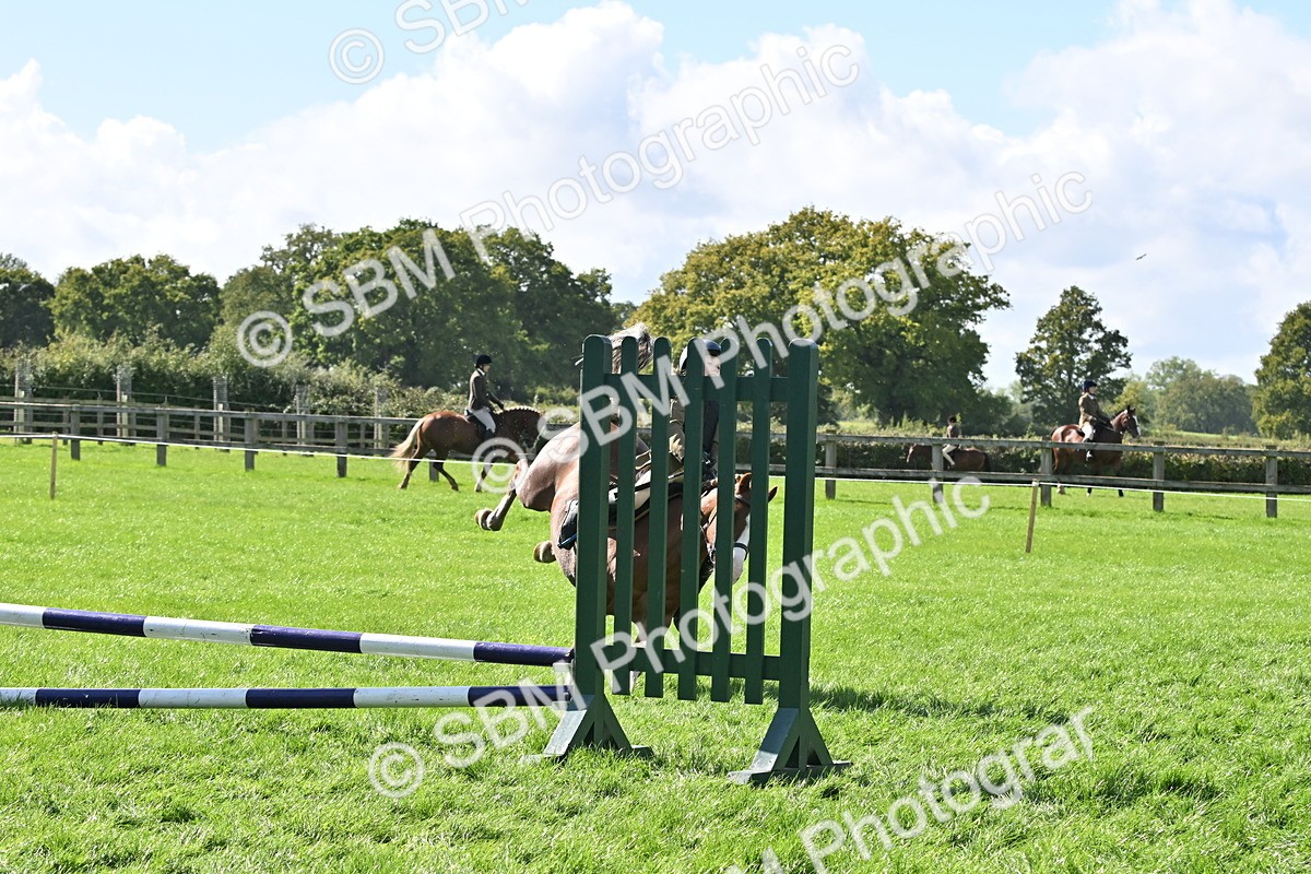 SBM_44528 - S13 - Pony Club Pony