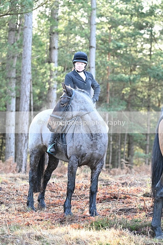 WJ7_7451 - Line 3 (no line 4 or 5)