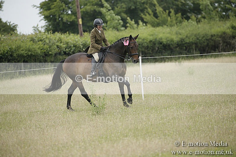 B230619-0815 - Bourne Valley Riding Club Summer Show 23/06/19