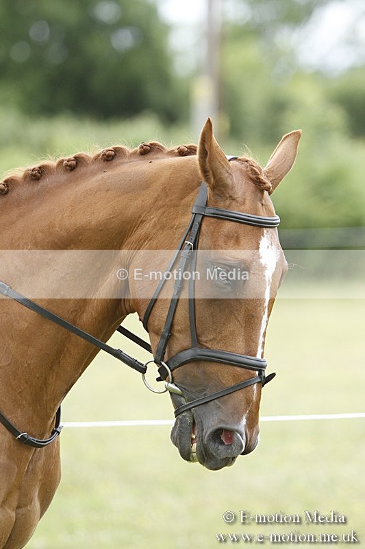 BVR160717-1772 - Ring 3 BVRC Show 16/07/17