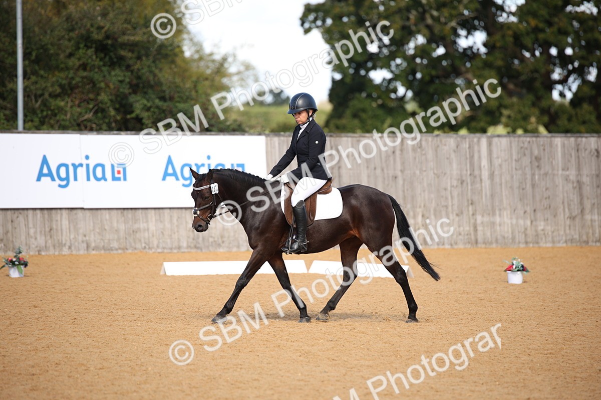 SBM_01975 - D2 Small Tour Championship Intro C
