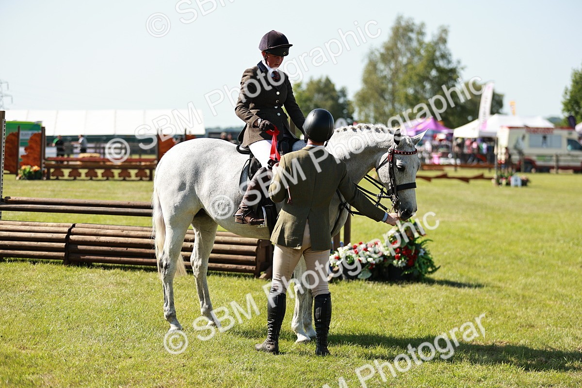 SBM_18940 - Class 114 - RIHS & SEIB Open Working Show Horse