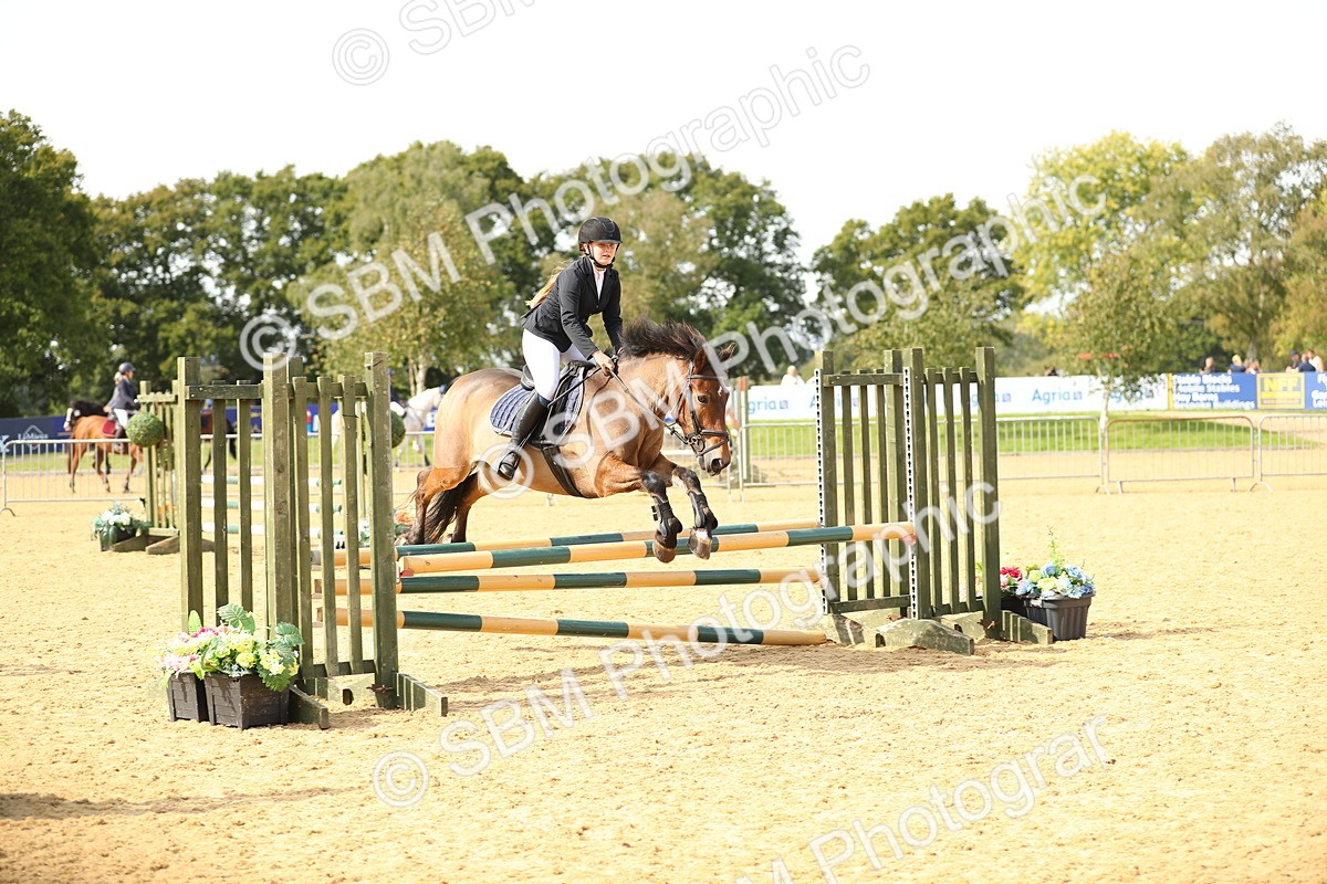 SBM_66200 - J17 - Junior Pony 80cm Championship