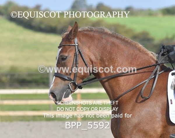 BPP_5592 - MY QUEST OPEN PRELIM TEST 1 + 2