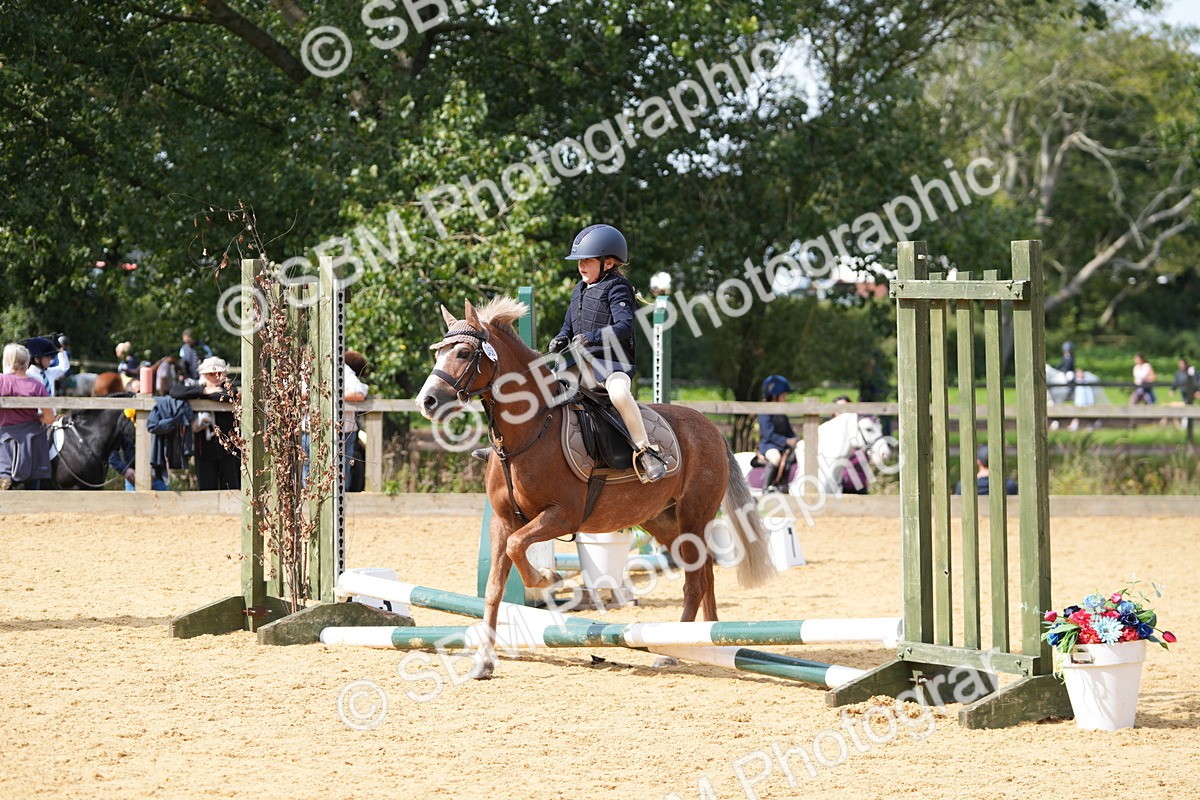 SBM_65789 - J2 - Mini Tour Junior Pony 30cm Championship